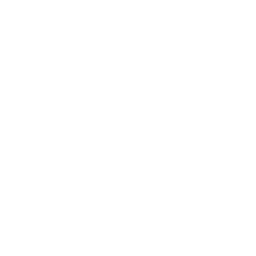 AI Product Development AI Product Development