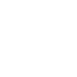 AI Strategy Consulting AI Strategy Consulting
